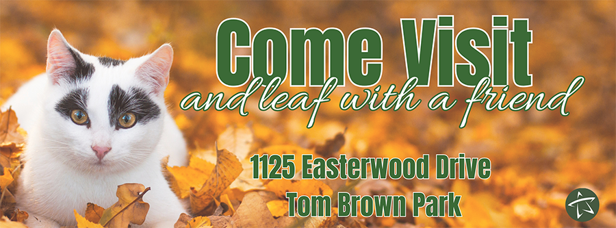 Come Visit and Leaf with a Friend