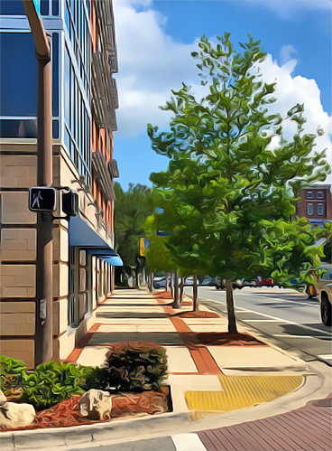 Street Trees